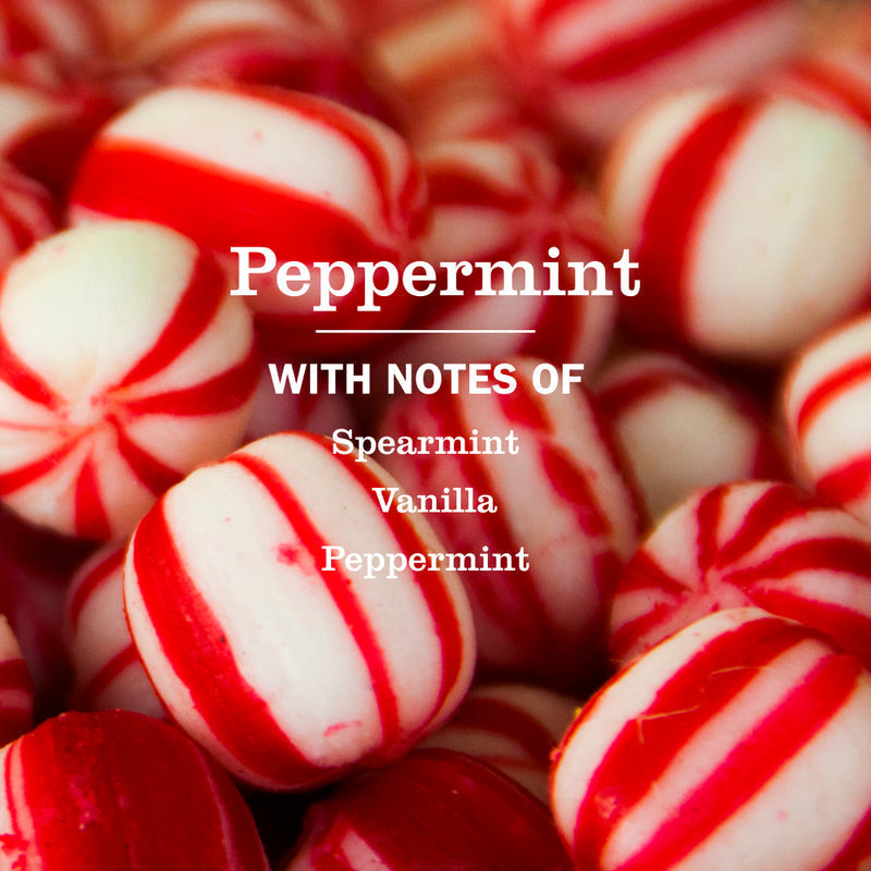 Mrs. Meyer's Peppermint Room Freshener