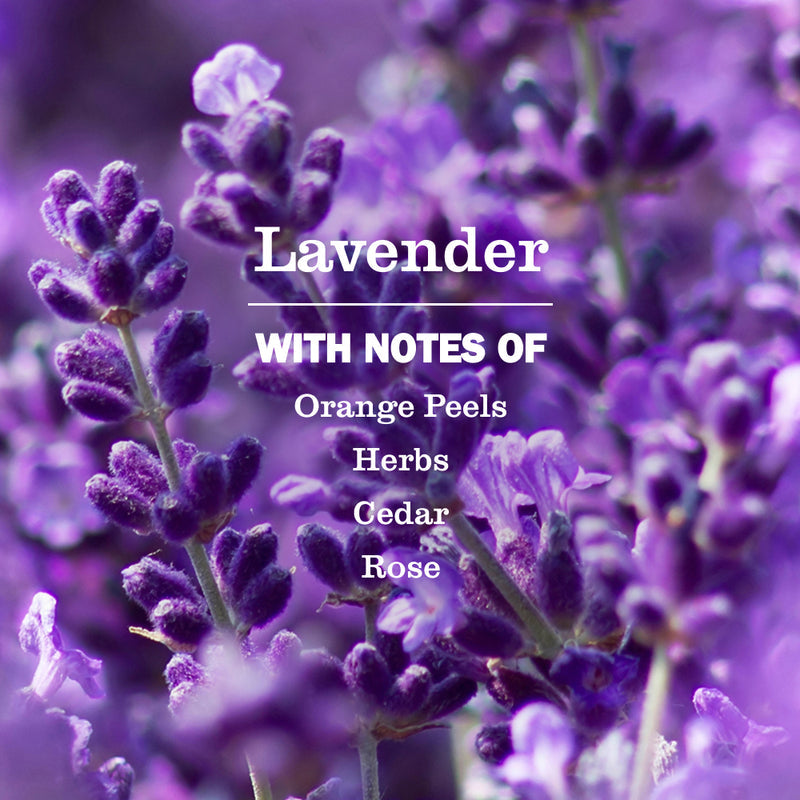 Mrs. Meyer's Lavender Ultra Concentrated Laundry Detergent