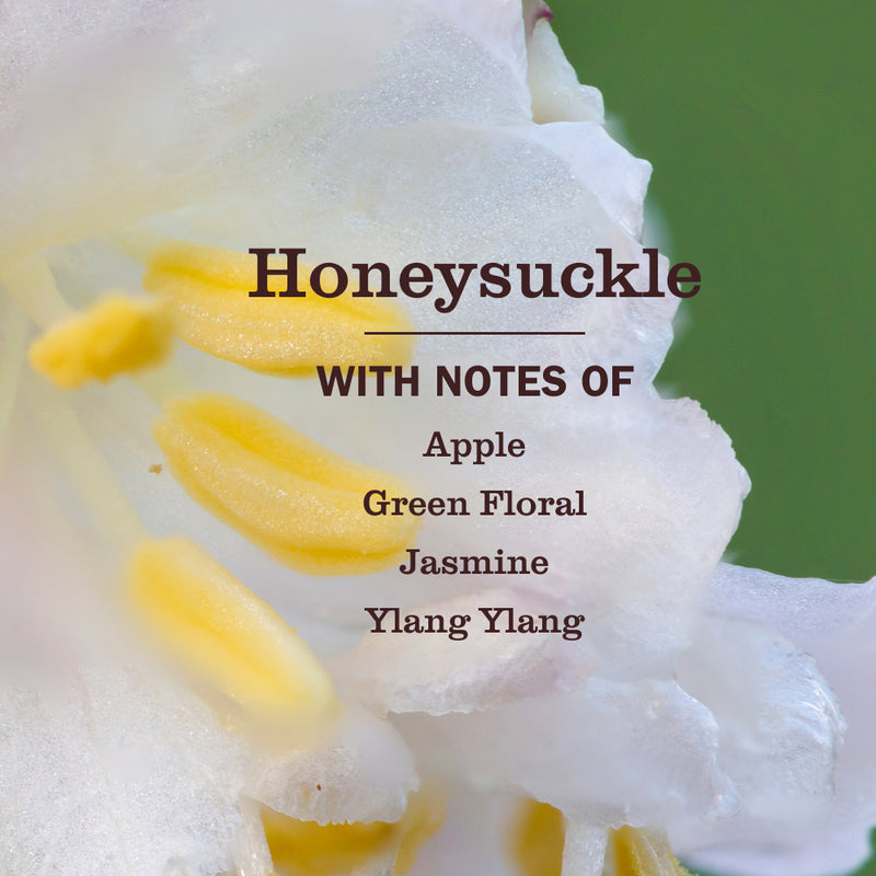 Honeysuckle Liquid Hand Soap &amp; Refill Set