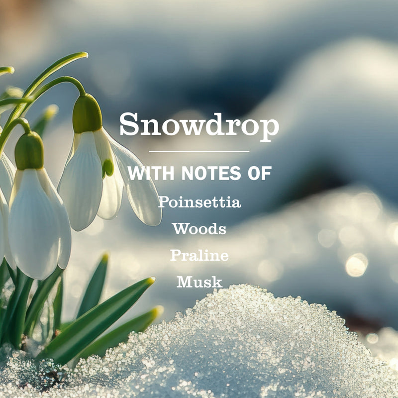 Snowdrop Liquid Hand Soap &amp; Refill Set