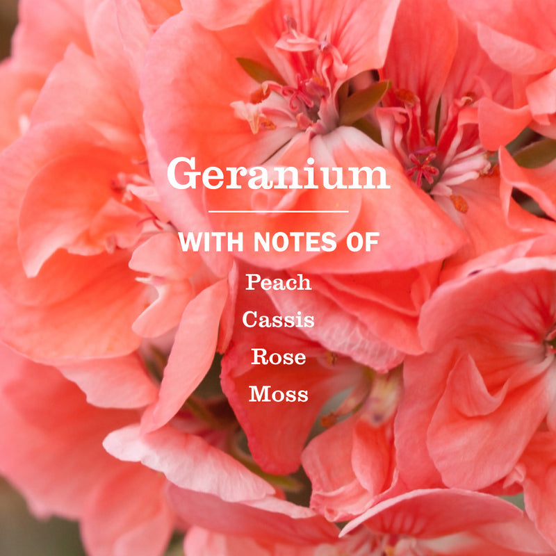 Mrs. Meyer's Geranium Multi-Surface Everyday Cleaner