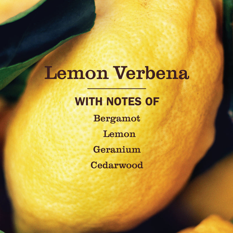 Mrs. Meyer's Lemon Verbena Tub &amp; Tile