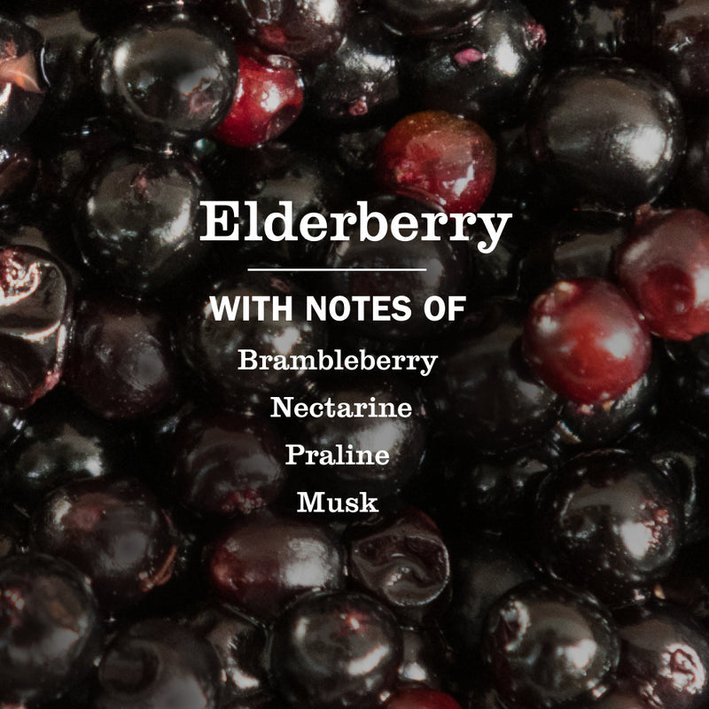 Elderberry Plug In Scented Oil Warmer With Refill